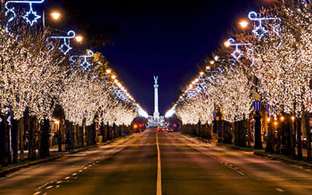 sparkling festive lights on the treed lining the avenue