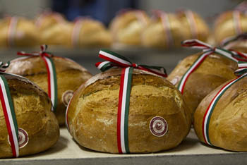 a round-spahe bread with a national tricolor ribbon tied on it