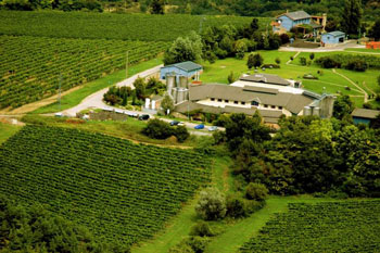 a moren winery in a valely among green vineyards at Aszar-Neszmely