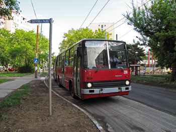 a red Trolley Bus