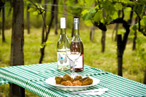 a bottle white and a rose wine, an empty glass some snacks on plate on a green checkered table
