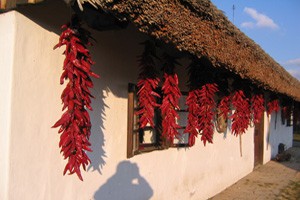 hungarian_paprika_strings