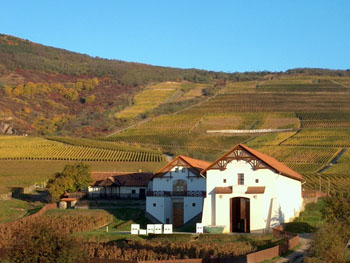 the white facade of Hétszőlő winery in autumn