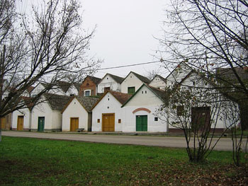 two rows of white wine cellars in Villany