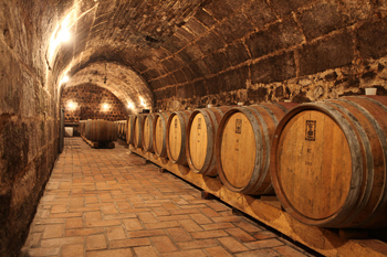 wooden barrels in a large vaulted cellar