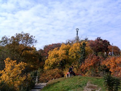 Gellert Hill in autumn