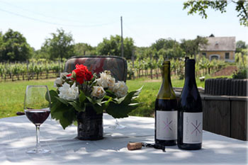 2 bottles of wine, a a half glass of red wine, and a bunch of flower in a vase on a white clothed table in a vineyard