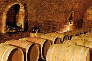 cellar with oak barrels in Etyek