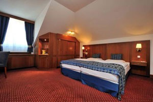 a double room in Carlton hotel
