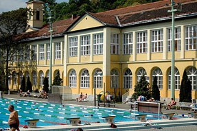 the swimming pool in summer