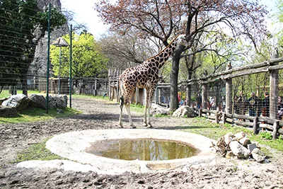 Budapest Zoo