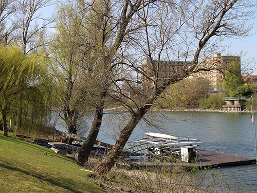 teh Danube ruverbank at Kopaszi Dam park in April
